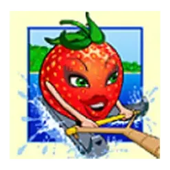 icon 2