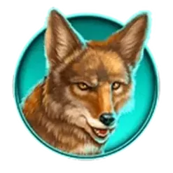icon 5