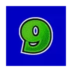icon 13