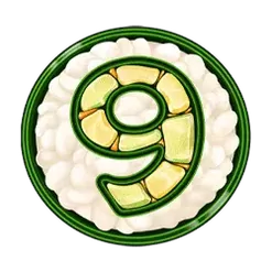 icon 13