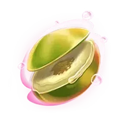 icon 5
