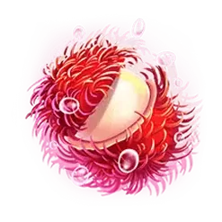 icon 2