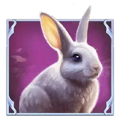 icon 4