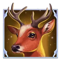 icon 1