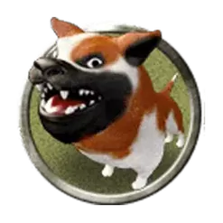 icon 9