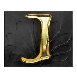 icon 11