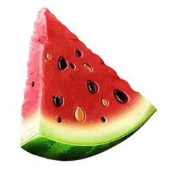 icon 4