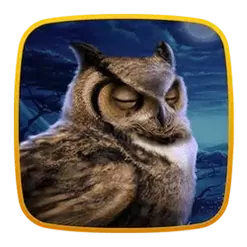 icon 2