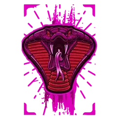 icon 2