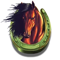 icon 6