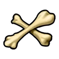 icon 10