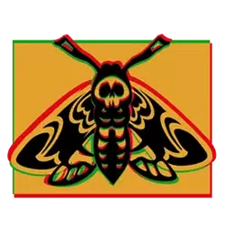 icon 4