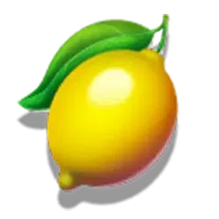 icon 5
