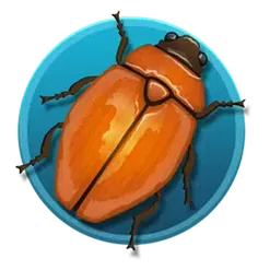 icon 3