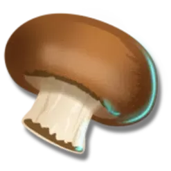 icon 9