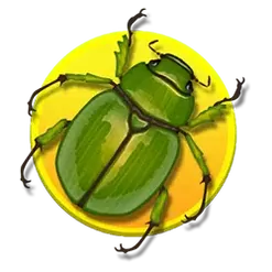 icon 4
