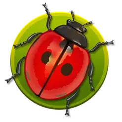 icon 1