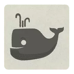 icon 10