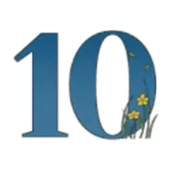 icon 10