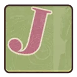 icon 9