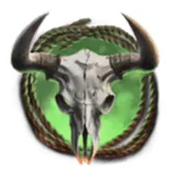 icon 4