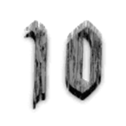 icon 10