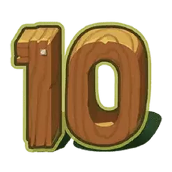 icon 10