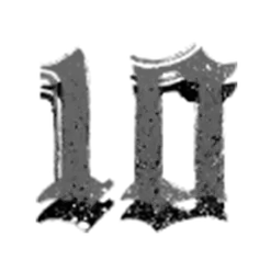 icon 10