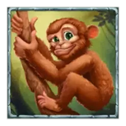 icon 5
