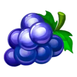 icon 5