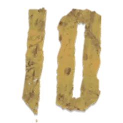 icon 10