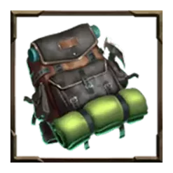 icon 2