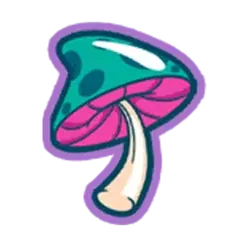 icon 5