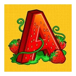 icon 4