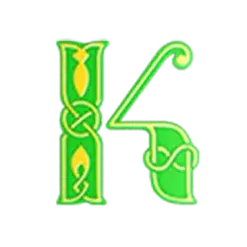 icon 5