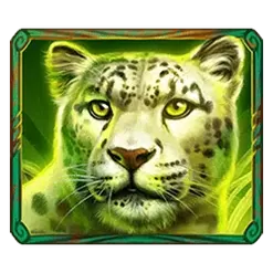 icon 3