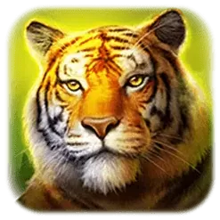 icon 2