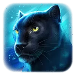 icon 3