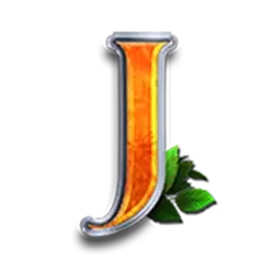 icon 10