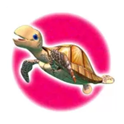 icon 2