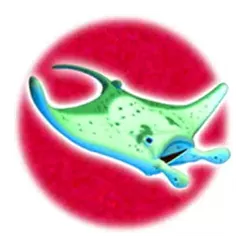 icon 3