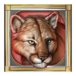 icon 5