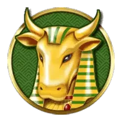 icon 4