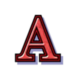 icon 5