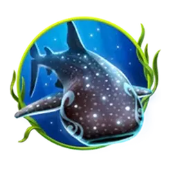 icon 2