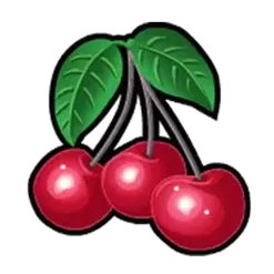 icon 5