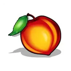 icon 7