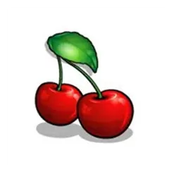icon 10
