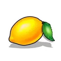 icon 9