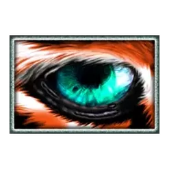 icon 9
